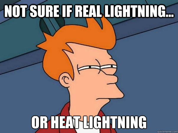 Not sure if real lightning... or heat lightning   Not sure Fry