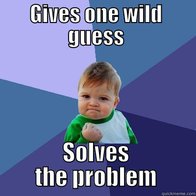 GIVES ONE WILD GUESS SOLVES THE PROBLEM Success Kid