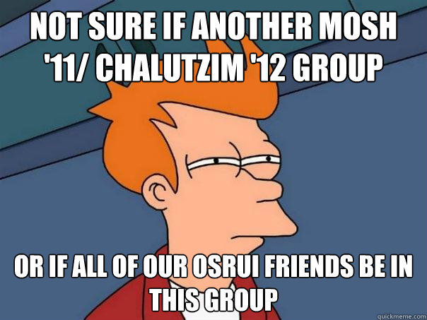 not sure if another mosh '11/ chalutzim '12 group or if all of our osrui friends be in this group  Futurama Fry