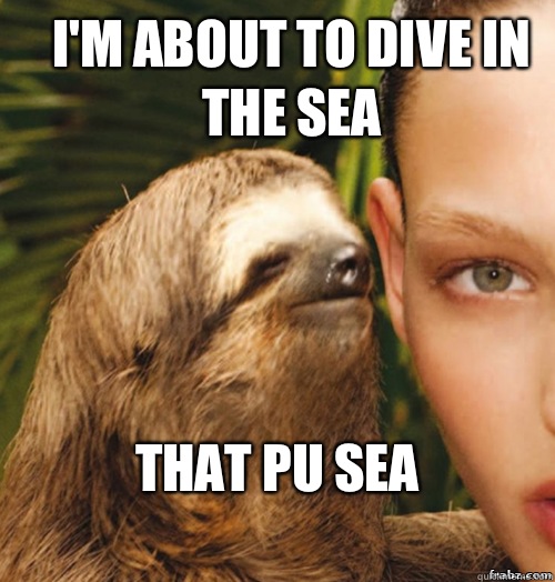 I'm about to dive in the sea That pu sea
  rape sloth