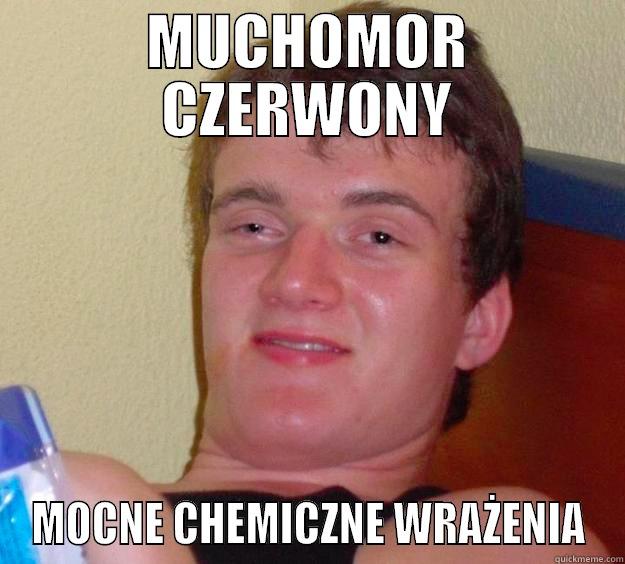MUCHOMOR CZERWONY MOCNE CHEMICZNE WRAŻENIA 10 Guy