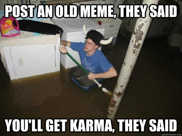 Post an old meme, they said You'll get karma, they said - Post an old meme, they said You'll get karma, they said  Laundry Room Viking