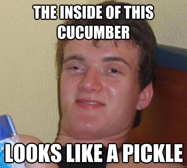 The inside of this cucumber looks like a pickle  10 Guy