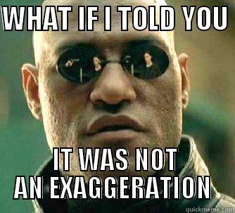 WHAT IF I TOLD YOU  IT WAS NOT AN EXAGGERATION  Matrix Morpheus