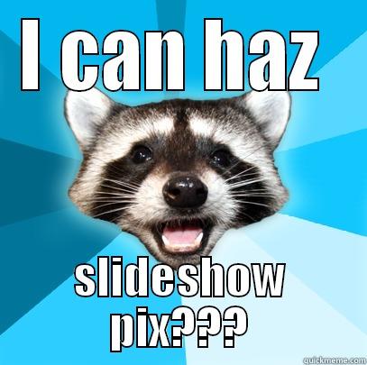 I CAN HAZ  SLIDESHOW PIX??? Lame Pun Coon