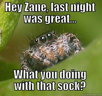 HEY ZANE, LAST NIGHT WAS GREAT... WHAT YOU DOING WITH THAT SOCK? Misunderstood Spider