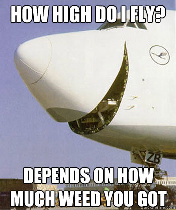 How High do I fly? Depends on how much weed you got  
