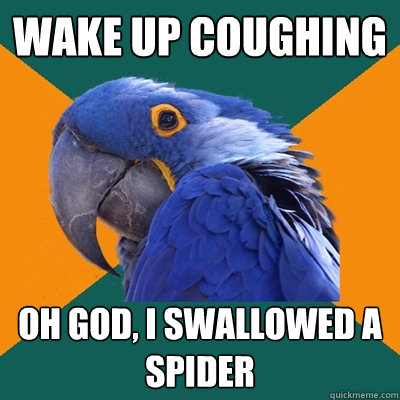 wake up coughing oh god, i swallowed a spider  Paranoid Parrot