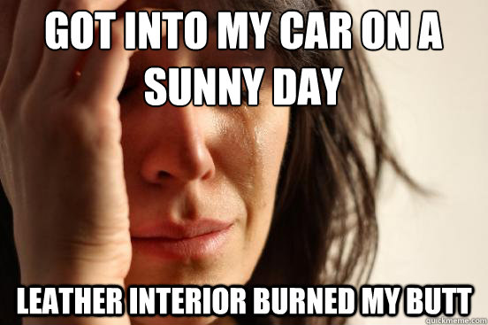Got into my car on a sunny day Leather interior burned my butt  First World Problems