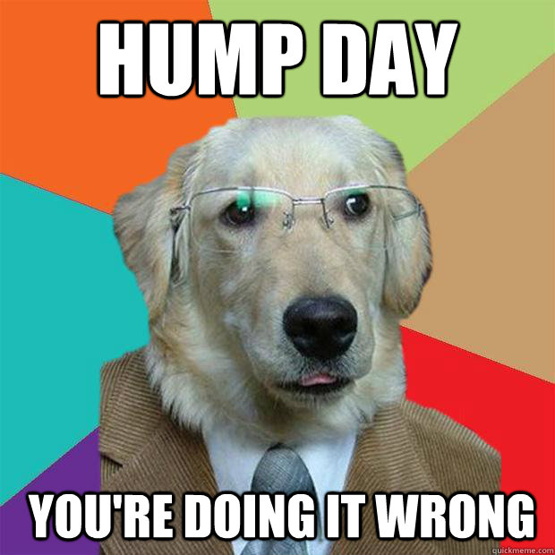 Hump Day you're doing it wrong  Business Dog