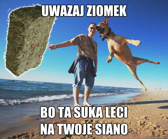 uwazaj ziomek Bo ta suka leci
na twoje siano - uwazaj ziomek Bo ta suka leci
na twoje siano  uwaaj ziomek!