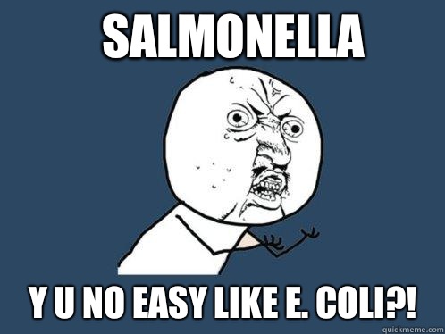 Salmonella y u no easy like E. coli?!  Y U No