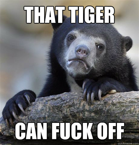 That tiger Can fuck off  Confession Bear