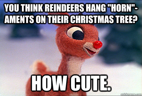 You think reindeers hang 