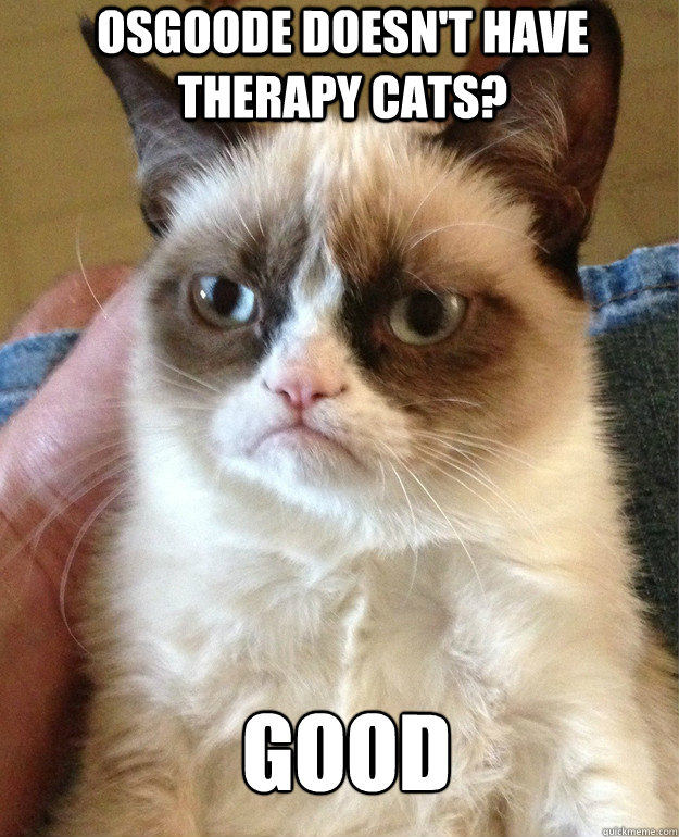 osgoode doesn't have therapy cats? good  Grumpy Cat
