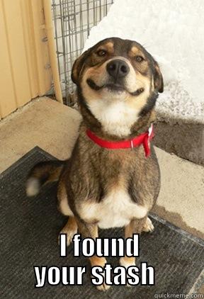  I FOUND YOUR STASH   Good Dog Greg