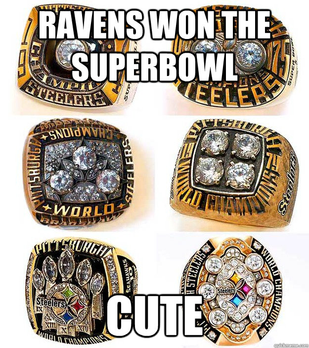 Ravens won the superbowl cute - Ravens won the superbowl cute  Steelers