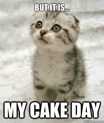 But it is... my cake day - But it is... my cake day  Sad cat