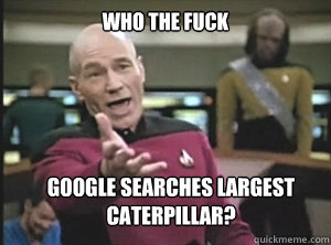 who the fuck Google searches largest Caterpillar?  - who the fuck Google searches largest Caterpillar?   Annoyed Picard
