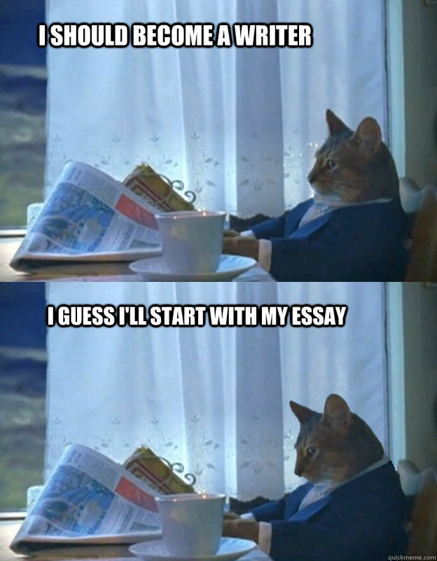 I should become a writer I guess I'll start with my essay  Sad Sophisticated Cat