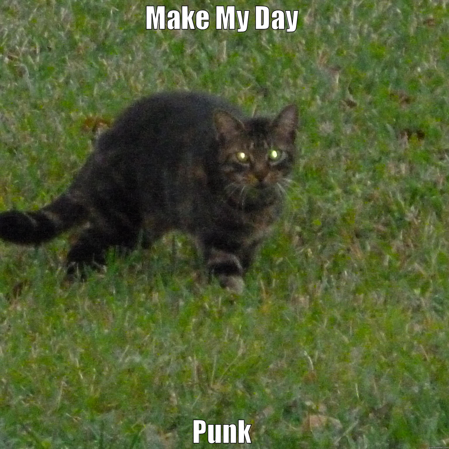 MAKE MY DAY PUNK Misc