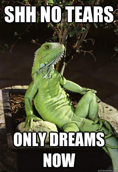 Shh no tears Only dreams now - Shh no tears Only dreams now  shh no tears iguana