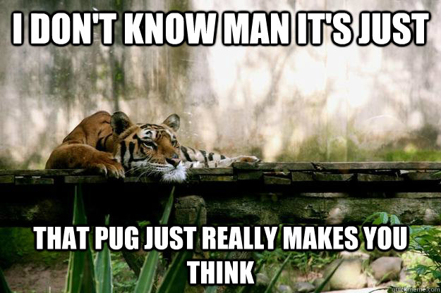 I don't know man it's just that pug just really makes you think - I don't know man it's just that pug just really makes you think  Misc