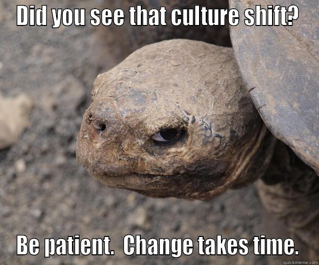 Culture Shift - DID YOU SEE THAT CULTURE SHIFT? BE PATIENT.  CHANGE TAKES TIME. Angry Turtle