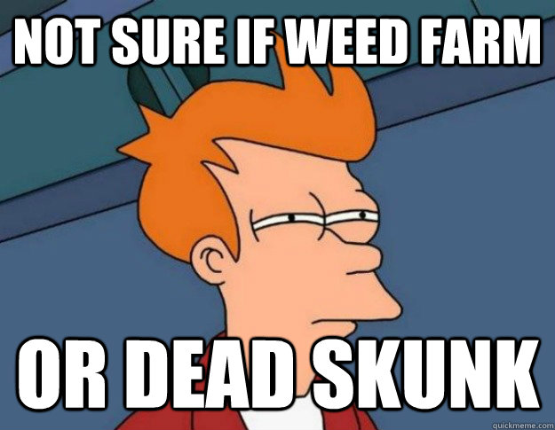 Not sure if weed farm or dead skunk  - Not sure if weed farm or dead skunk   NOT SURE IF IM HUNGRY or JUST BORED