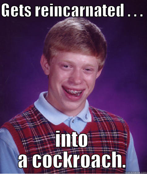 GETS REINCARNATED . . .  INTO A COCKROACH. Bad Luck Brian