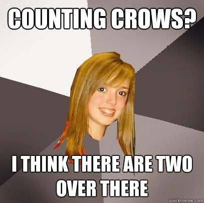 Counting crows? I think there are two over there  Musically Oblivious 8th Grader