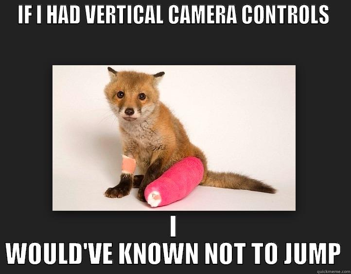 IF I HAD VERTICAL CAMERA CONTROLS I WOULD'VE KNOWN NOT TO JUMP Misc