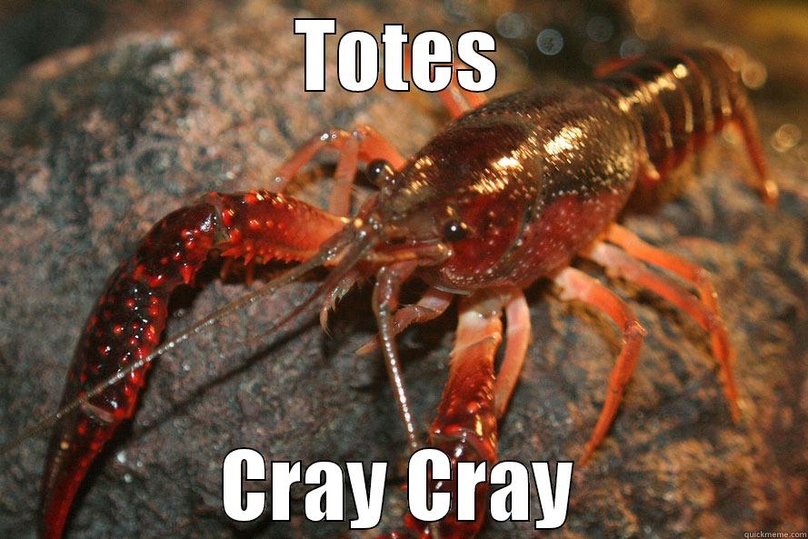 TOTES CRAY CRAY Misc