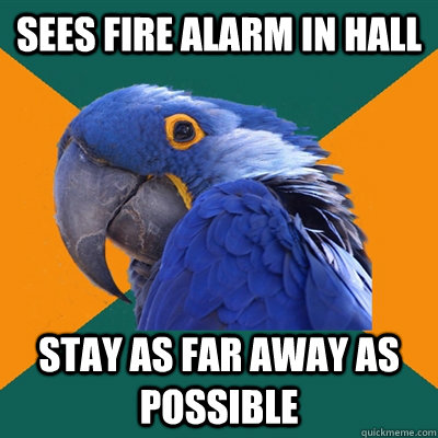 Sees Fire Alarm In Hall Stay As Far Away as Possible  Paranoid Parrot