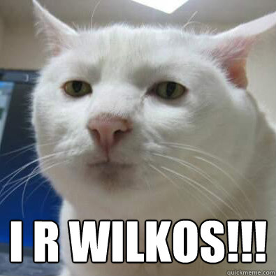  I R Wilkos!!!  Serious Cat
