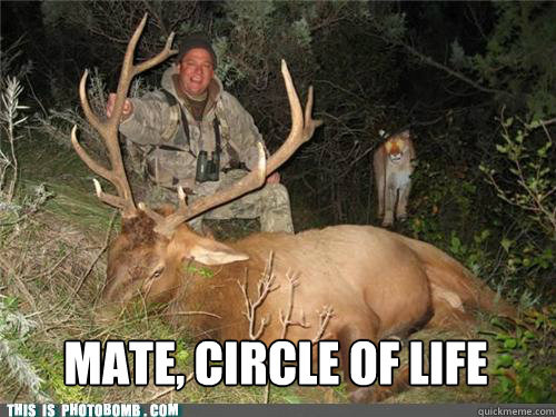 MATE, CIRCLE OF LIFE  