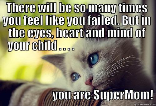 THERE WILL BE SO MANY TIMES YOU FEEL LIKE YOU FAILED. BUT IN THE EYES, HEART AND MIND OF YOUR CHILD . . . .                                                           YOU ARE SUPERMOM! First World Problems Cat