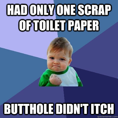 Had only one scrap of toilet paper butthole didn't itch  Success Kid