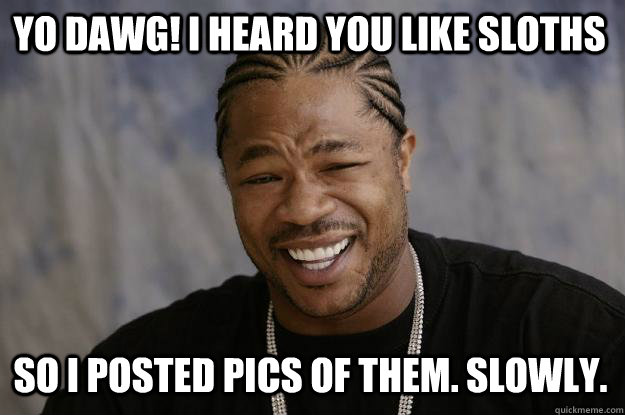 YO DAWG! I HEARD YOU LIKE SLOTHS SO I POSTED PICS OF THEM. SLOWLY.  Xzibit meme