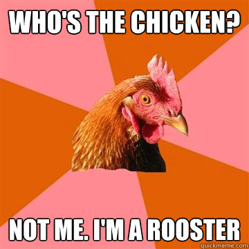 who's the chicken? Not me. I'm a rooster  Anti-Joke Chicken