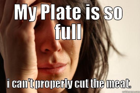 MY PLATE IS SO FULL I CAN'T PROPERLY CUT THE MEAT. First World Problems