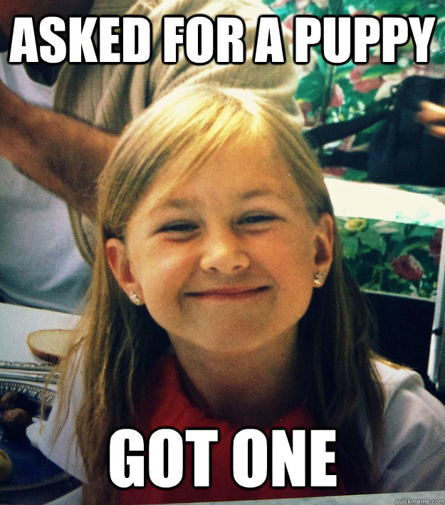 Asked for a puppy got one  