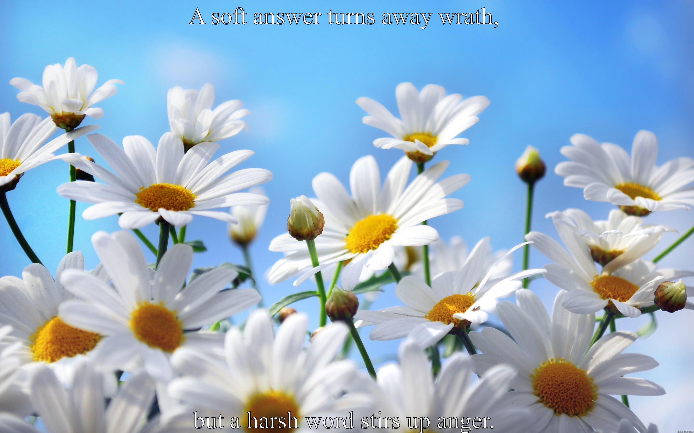 A SOFT ANSWER TURNS AWAY WRATH, BUT A HARSH WORD STIRS UP ANGER. Misc