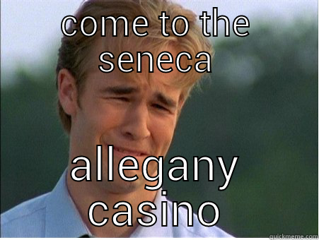 COME TO THE SENECA ALLEGANY CASINO 1990s Problems