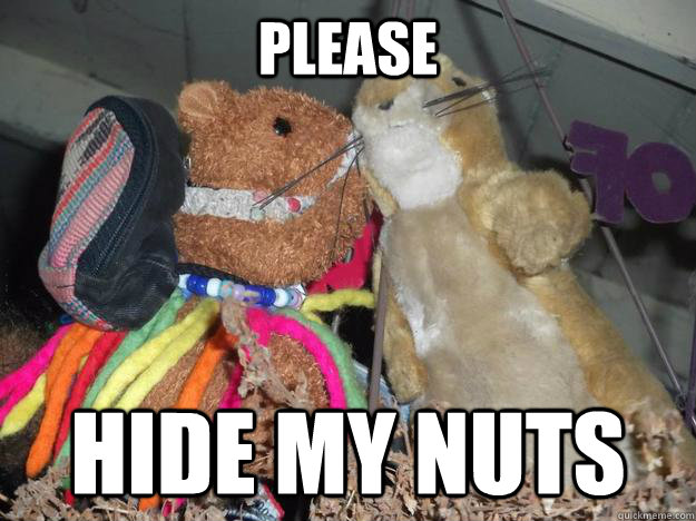 please hide my nuts  Secret Squirrel
