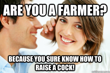Are you a farmer? Because you sure know how to raise a cock!  Bad Pick-up line Paul