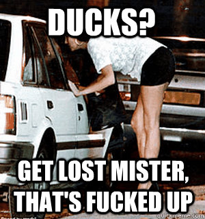ducks? Get lost mister, that's fucked up - ducks? Get lost mister, that's fucked up  Karma Whore