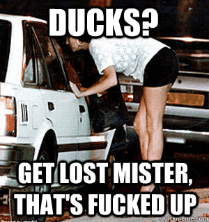 ducks? Get lost mister, that's fucked up  Karma Whore
