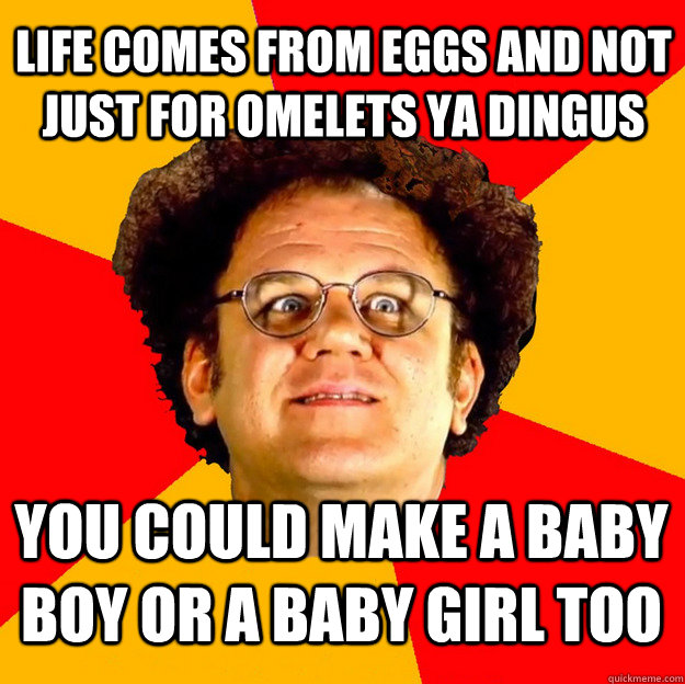 Life comes from eggs and not just for omelets ya dingus you could make a baby boy or a baby girl too - Life comes from eggs and not just for omelets ya dingus you could make a baby boy or a baby girl too  Misc