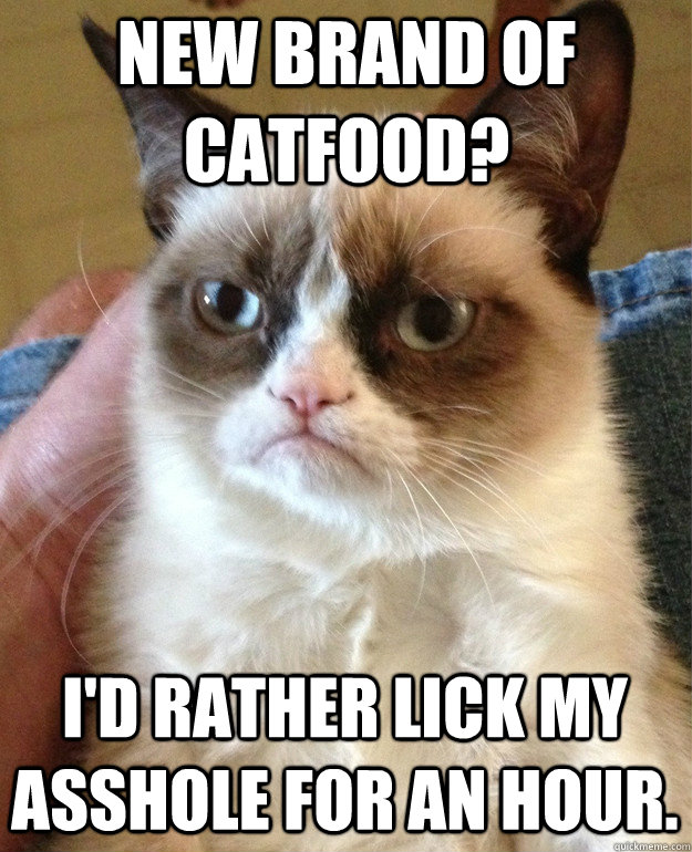 New Brand of catfood? I'd rather lick my asshole for an hour.  Grumpy Cat